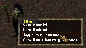 Datei:Toggle item insurance2.jpg